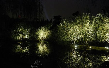 夜色中的浙江杭州西湖柳浪闻莺水潭图片