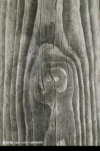 自然木紋图片
