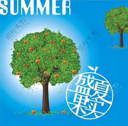 盛夏果实图片