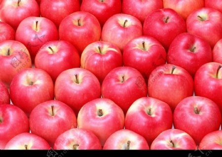 苹果排列图片
