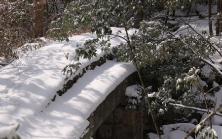 冬之黄山雪桥图片