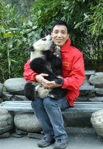 人与大熊猫亲密接触图片