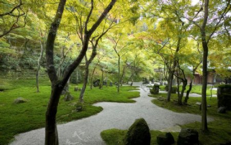 光明禅寺的庭园图片