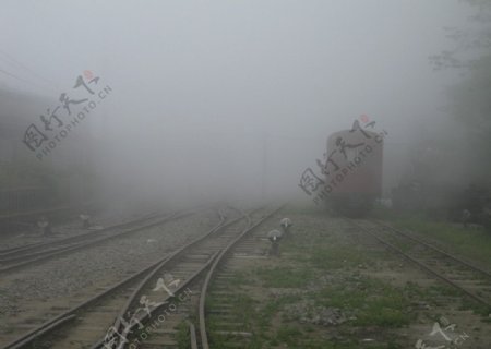 霧中的火車图片
