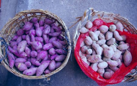 紫红薯图片