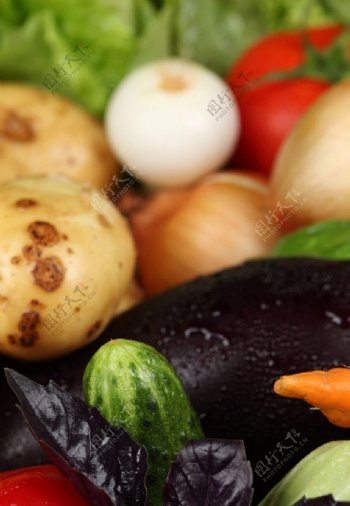 土豆黄瓜西红柿洋葱茄子胡萝卜图片