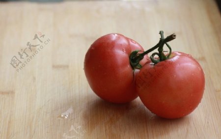 夏日番茄图片