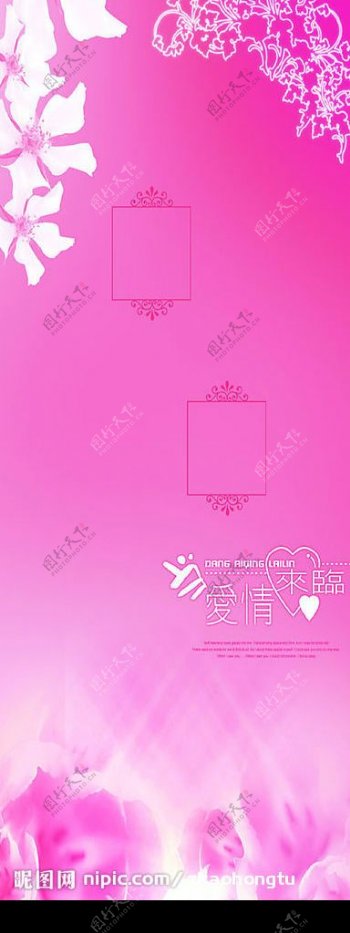 婚纱X展架粉红色背景图片