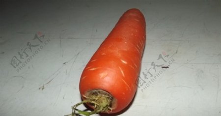 胡萝卜红萝卜蔬菜青菜图片