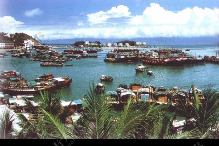 广东省阳江市闸坡渔港图片