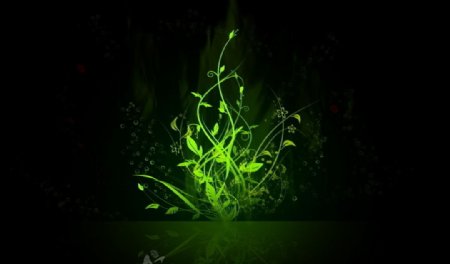 绿色花边荧光屏图片
