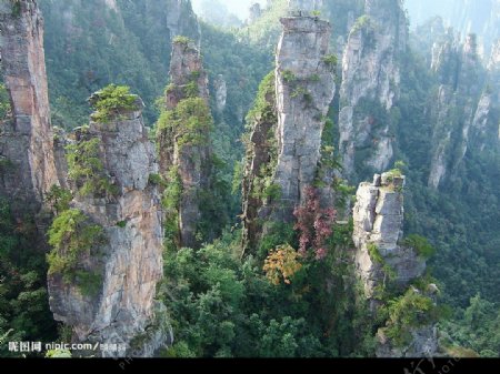 张家界大山图片