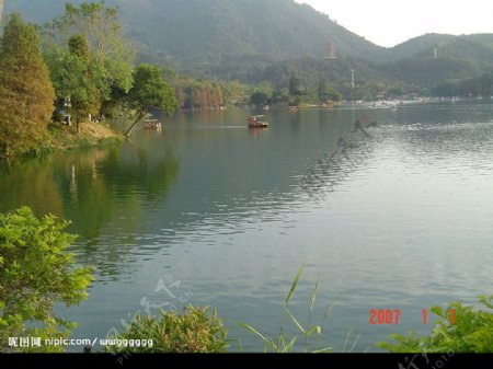 深圳仙湖图片