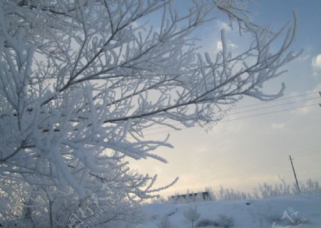 雪景摄影图片