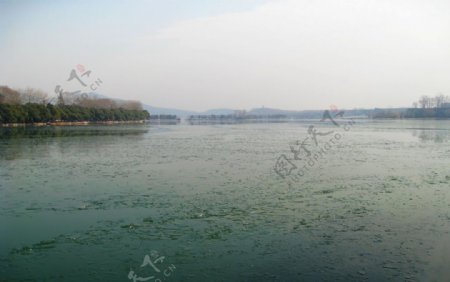 冬日玄武湖图片