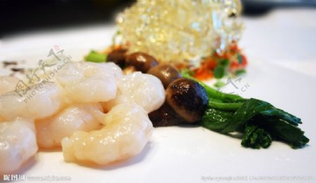 美食虾仁图片