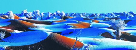 沙漠冬景图片
