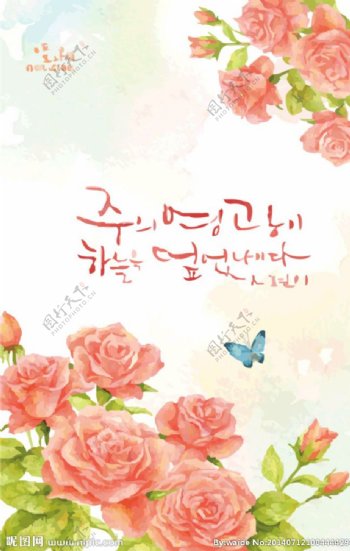 韩国大玫瑰花插画图片