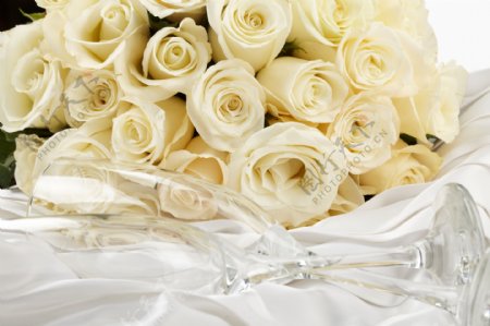 新鲜的白玫瑰图片