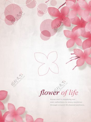 粉色花朵背景图片