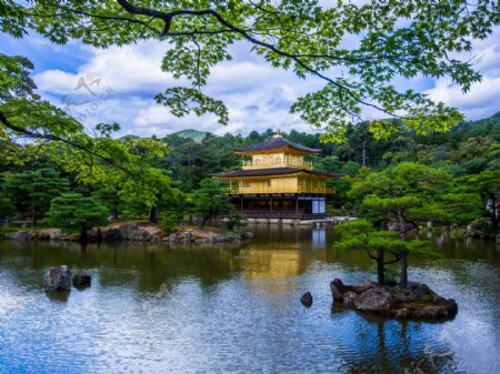 京都金阁寺图片