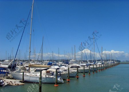 新西兰码头风景图片
