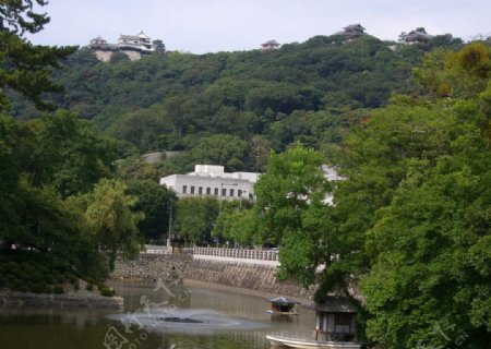 日本名古屋城堡群图片