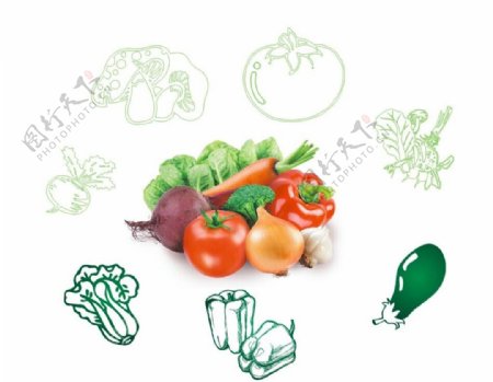 蔬菜素描和蔬菜高清图图片