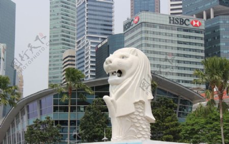 新加坡鱼尾狮图片