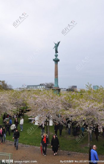 Copenhagen哥本哈根的日本樱花节图片