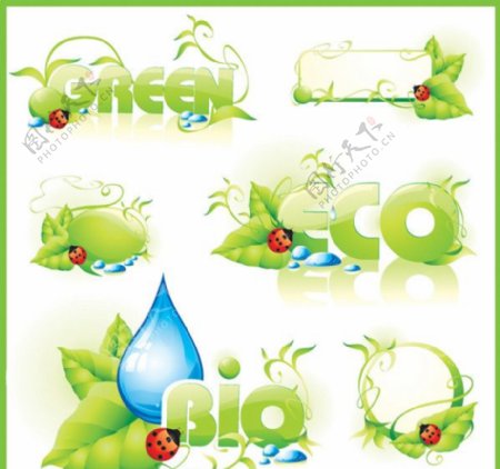 绿叶瓢虫水滴花边背景矢量素材图片