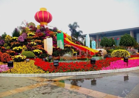 东莞广场花卉园艺图片