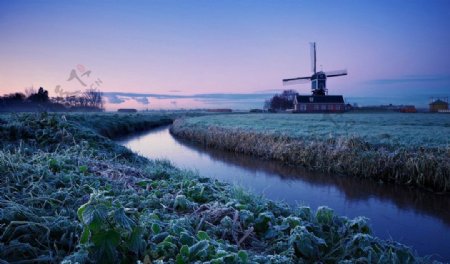 荷兰清晨图片