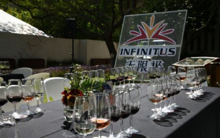 南非大廉斯坦夏葡萄酒庄园露天品酒图片