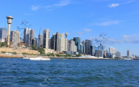 悉尼海边城市摄影图片