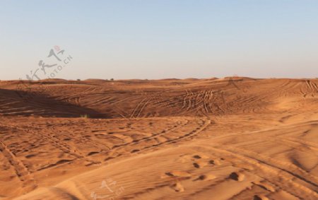 沙漠足迹图片
