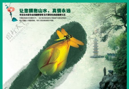 中国风绿色广告图片