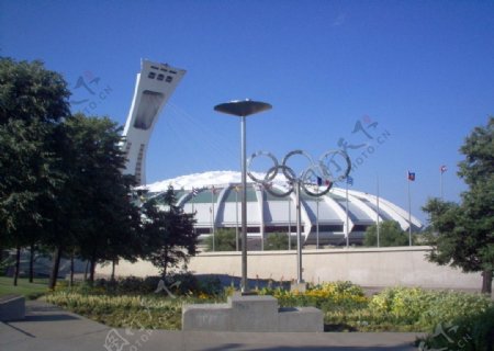 蒙特利尔奥林匹克主场馆图片