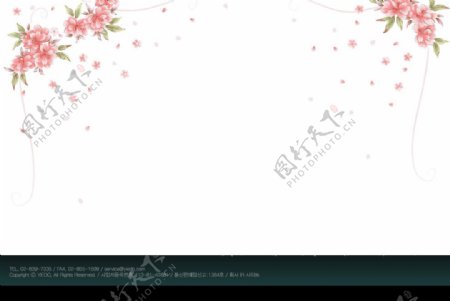 韩国精美花形饰角图片