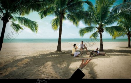 沙滩大海蓝天椰树图片