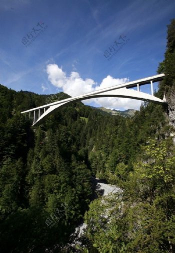 峡谷森林高山桥梁图片