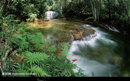 巴西石灰石与水流马托格罗索高原图片