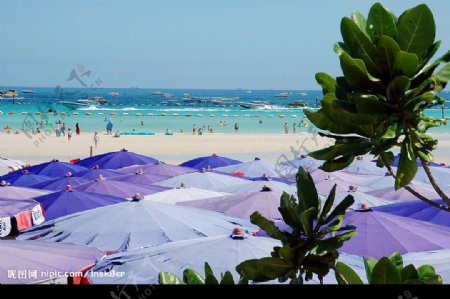 泰国芭提雅海滨图片