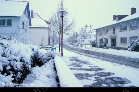 積雪的社區道路图片