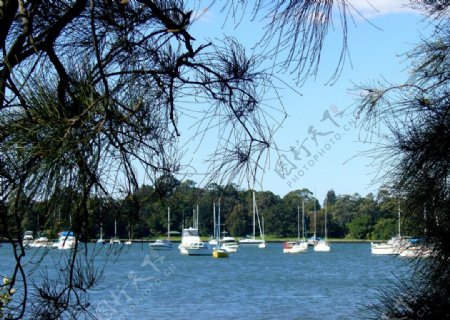 悉尼海景图片
