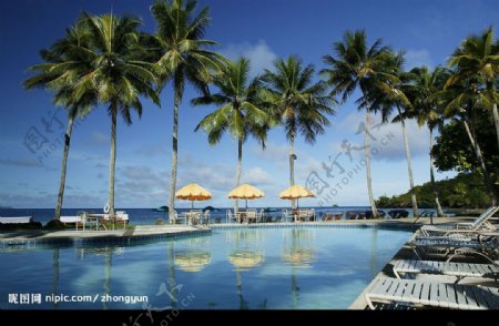 帛琉游泳池图片