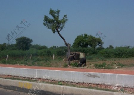 印度公路旁图片