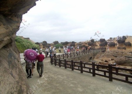 台北縣萬里鄉野柳地質公園图片