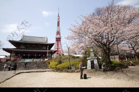 远观东京铁塔图片