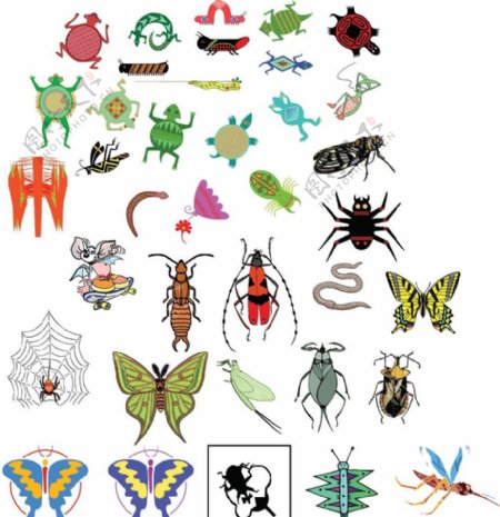 各种昆虫图片